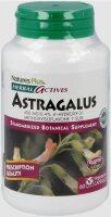 Natures Plus Astragalus 450 mg - 60 Kapseln